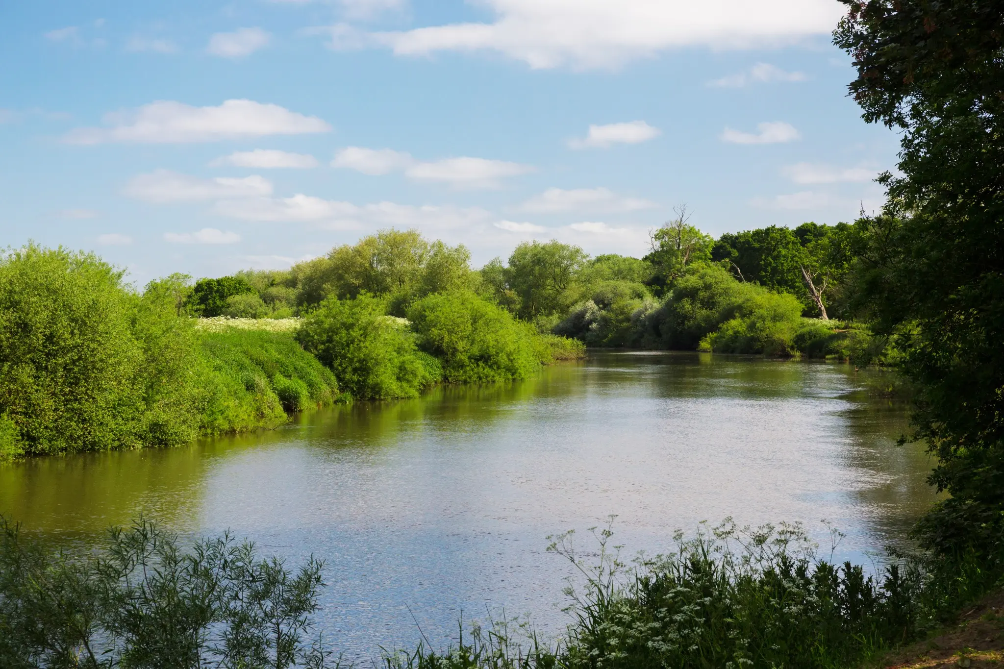 The River Ouse at Moreby Hall